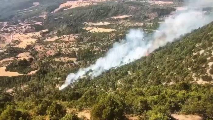Bolu’da Orman Yangını: Helikopter Ve Arazözlerle Müdahale Ediliyor
