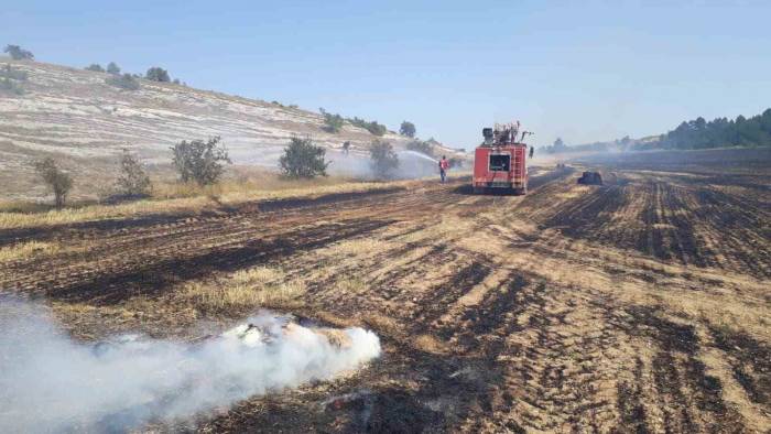 Balya Yapımı Sırasında Çıkan Yangın 17 Dönüm Araziye Zarar Verdi