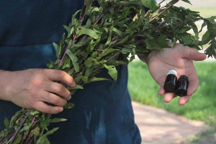 Bu Yağın Litresi 35 Bin Tl