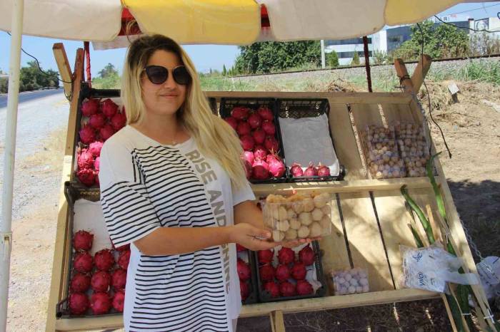 Faydaları Saymakla Bitmiyor, 250 Gramı 50 Tl’den Satılıyor