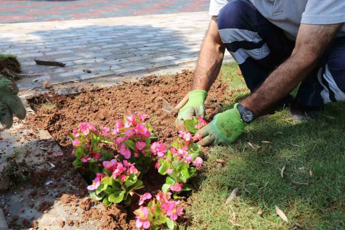Efeler’in Ekipleri İlçe Genelinde Çalışmalarını Sürdürüyor