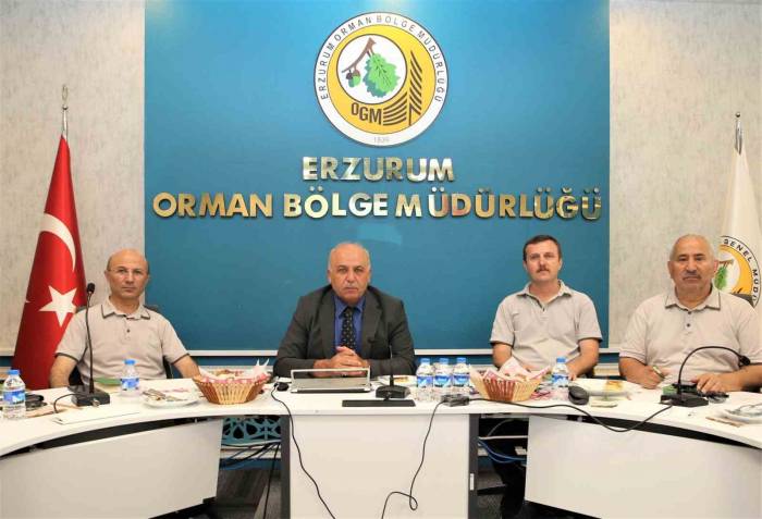 Ormancılık Faaliyetleri Masaya Yatırıldı