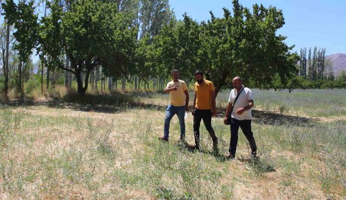 Iğdır’da Çiftçilerin ’sulama Sıkıntısı’ Talepleri