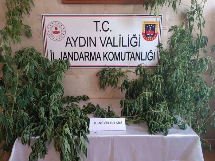 Jandarma Uyuşturucu Satıcılarına Nefes Aldırmıyor