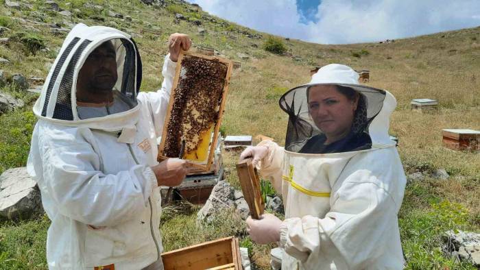 2 Bin 500 Rakımlı Yaylalarda Aile Boyu Arı Mesaisi