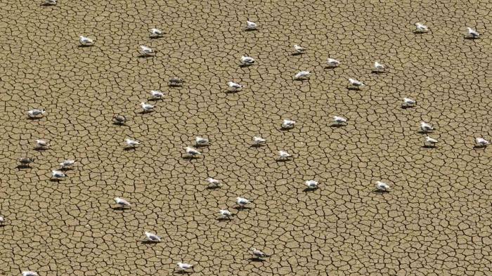 Mega Kentte Bulunan Barajlarda 61 Günlük Su Kaldı