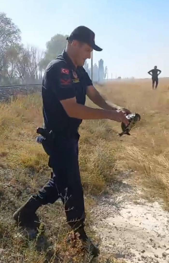 Jandarmanın Hayvan Sevgisi Görenlerin İçini Isıttı