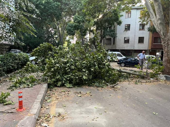 Ankara’da Fırtına Etkili Oldu, Ağaçlar Araçların Üzerine Devrildi