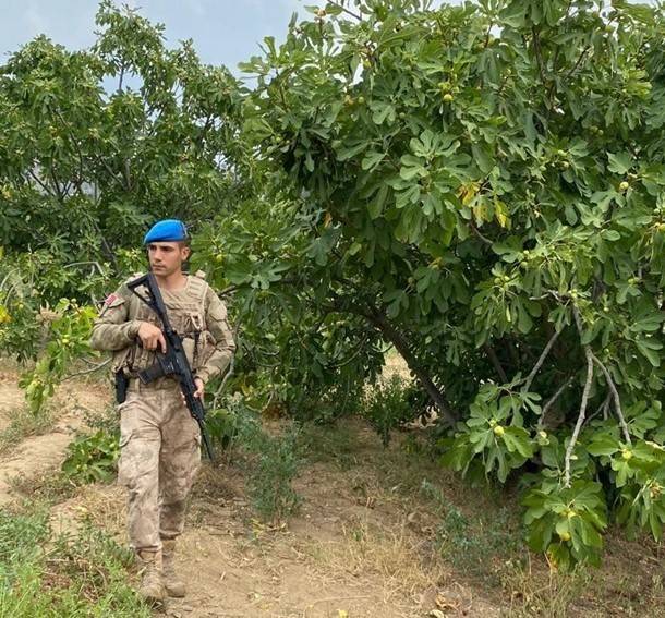 Aydın’da Jandarma İncir Nöbetine Başladı