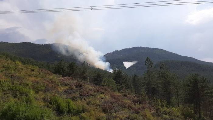 Bolu’da Orman Yangını Başladı