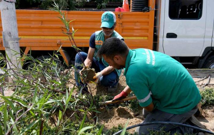 Davutlar Mahallesi’nde Peyzaj Çalışmaları Devam Ediyor