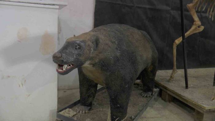 7,5 Milyon Yıl Sonra Ayaktalar