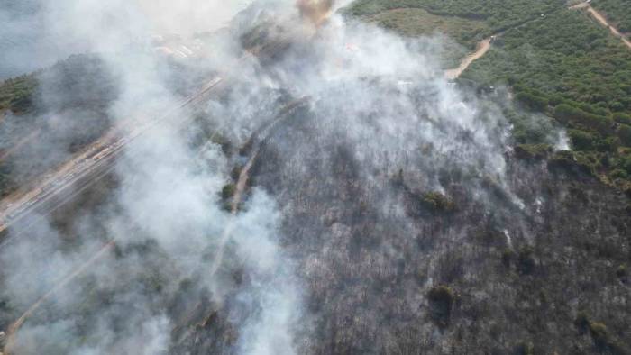 Tübitak Yerleşkesinde Çıkan Yangına 4 Uçak Ve 2 Helikopterle Müdahale Sürüyor