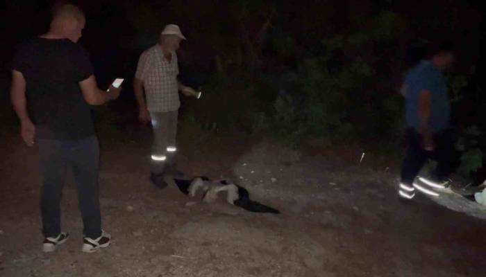 Leylekler İçin Köylerde Elektrikler Kesildi