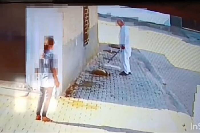 Bastonuyla Köpeği Öldüren Şahıs Gözaltına Alındı