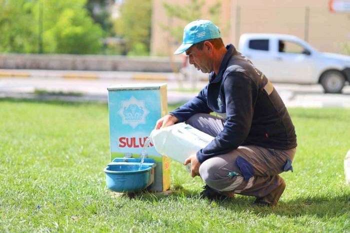 Aksaray Belediyesi Aşırı Sıcaklarda Can Dostlarını Unutmadı