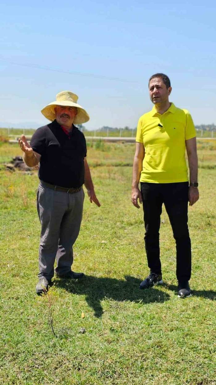 Mhp Tokat Milletvekili Bulut: “Geleceğimiz Açısından Kırsaldaki Üretim Önemlidir”