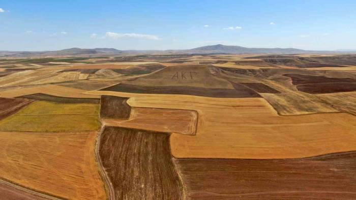 Parti Sevgisini Dağlara Kazıdı