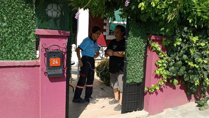 Yavru Kedilere Ulaşmak İçin Duvarı Deldiler