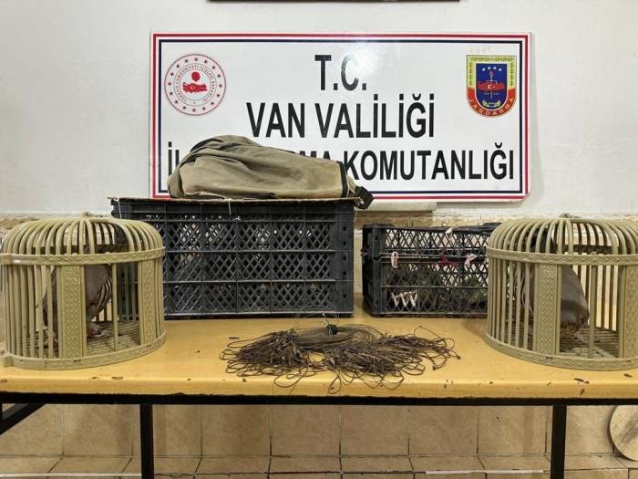 Van’da Kafes Avcılığı