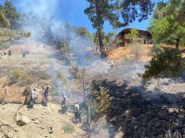 Adana’da Orman Yangını Büyümeden Söndürüldü