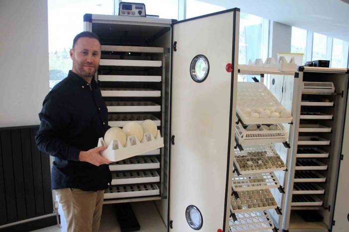 Abd’de 4 Yılda 60 Kat Büyüyen Türk Şirketinin Başarısı Gurur Kaynağı Oldu