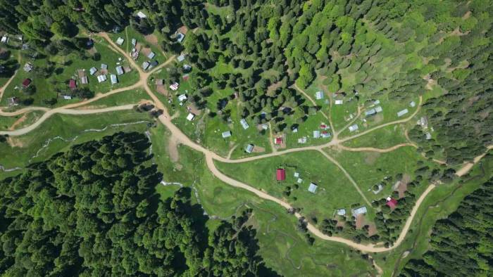 Düzce’nin Serinleten Yaylaları