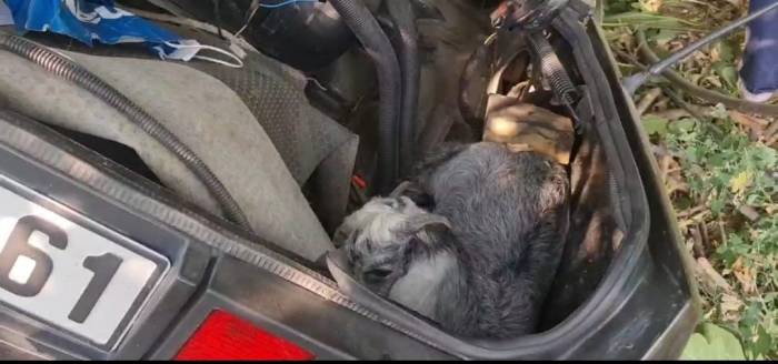 İzmir’de Otomobil Şarampole Uçtu: 2 Ölü