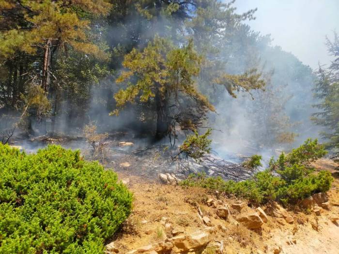 Kahramanmaraş’taki Orman Yangını İki Noktada Devam Ediyor