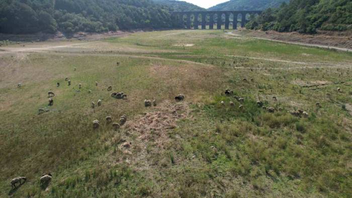 İstanbul’daki Barajların Su Seviyesi Yüzde 32.38 Seviyelerine Kadar Geriledi