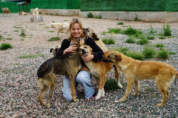 Besleme Yaparken Engelli Hayvanlardan Etkilendi, Onlar İçin Bakımevi Kurdu