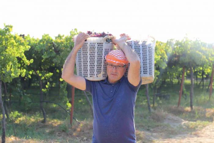 Alaşehir Festivalle Coşacak