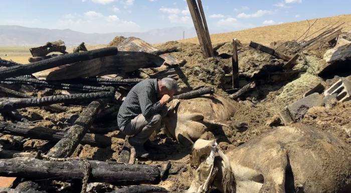 Yangında 7 İneğini Kaybeden Vatandaş Hüngür Hüngür Ağladı
