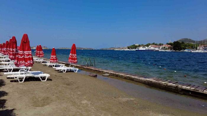 İzmir Foça’da Turizmi Denizanası Vurdu, Plajlar Boş Kaldı