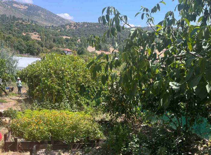 Mamak Belediyesi Çiftçilerin Yanında