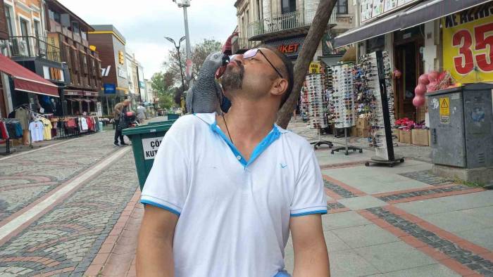 Hayat Arkadaşı Papağanı İle Sokaklarda Geziyor