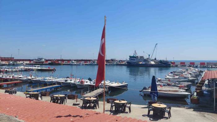 Tayfalarda 1 Eylül Heyecanı: Hamsi Ve Lüfer Bolluğu Bekleniyor