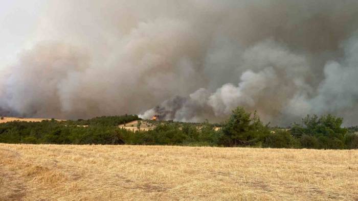 Çanakkale’de Orman Yangınına Müdahale Sürüyor