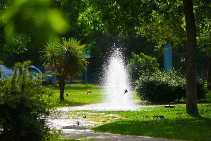 Bayraklı’ya Son 4 Yılda 152 Bin Metrekare Yeni Yeşil Alan Kazandırıldı