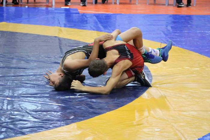 Analig Güreş Türkiye Şampiyonluğu Müsabakaları Başladı