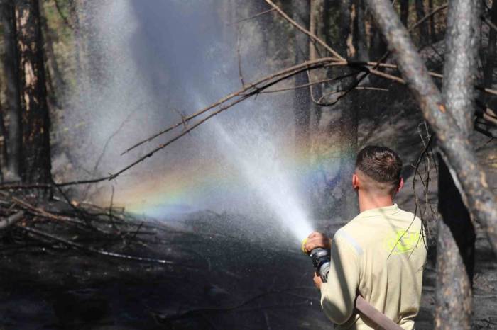 150 Hektar Kül Oldu