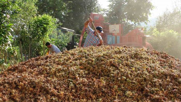 Yılda Sadece 1,5 Ay Çalışıyorlar: Saatlik Ücretleri 2 Bin Tl