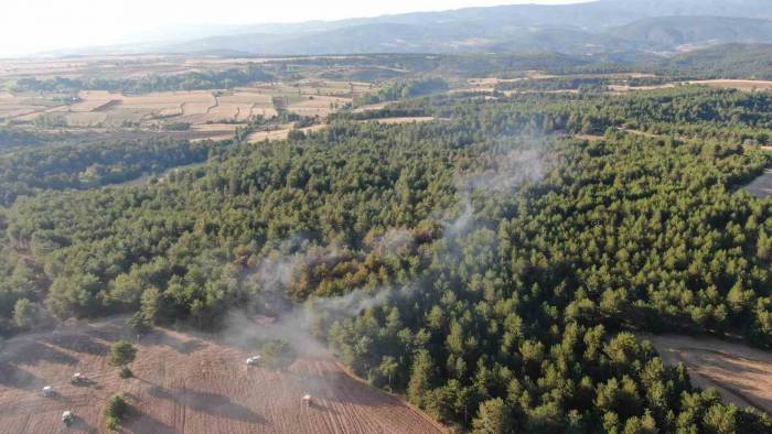 Kastamonu’da Orman Yangını Kontrol Altına Alındı