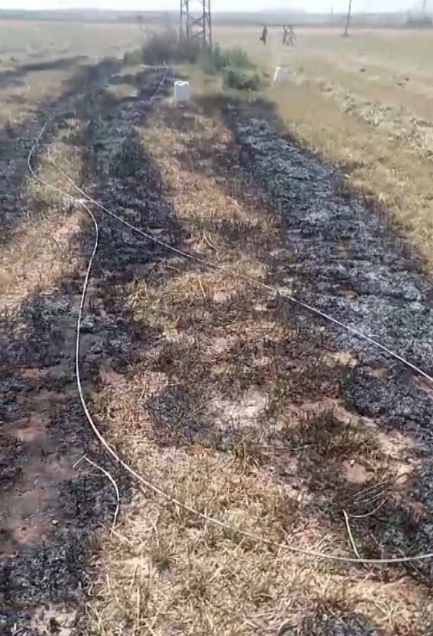 Konya’da Kopan Elektrik Telleri Tarlada Yangın Çıkardı