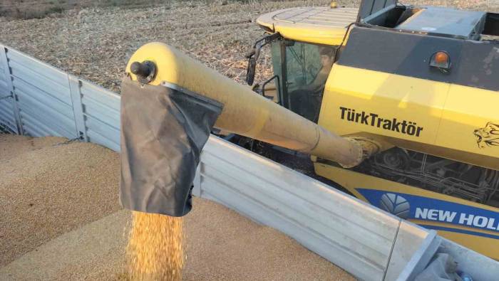 Osmaniye’de Mısırda Verim Çiftçinin Yüzünü Güldürdü