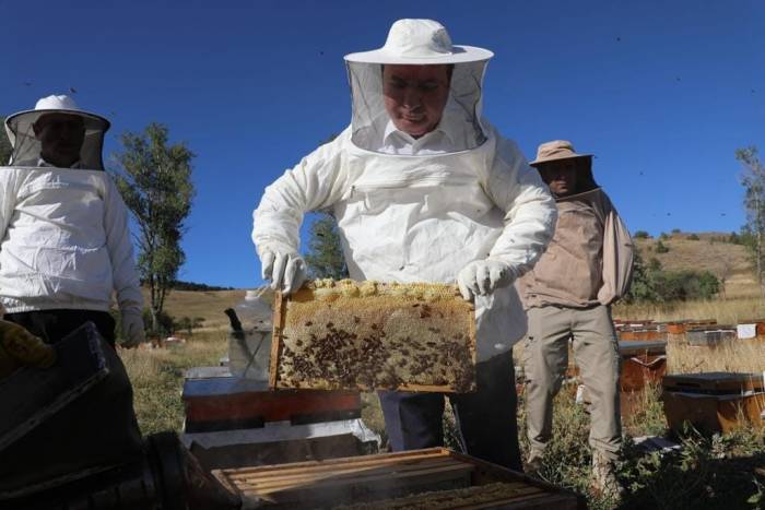 Refahiye’de Bal Hasadı Başladı