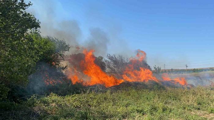 Tekirdağ’da Yerleşim Yerine Yaklaşan Yangın Korkuttu