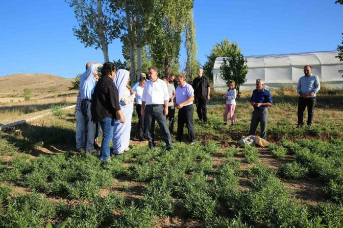 Vali Eldivan Aslandede Ve Yedigözeler Köylerini Ziyaret Etti