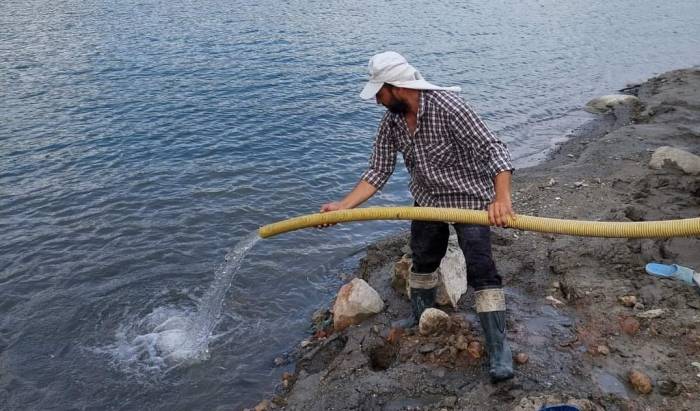 Aydın’da 300 Bin Sazan Suyla Buluştu