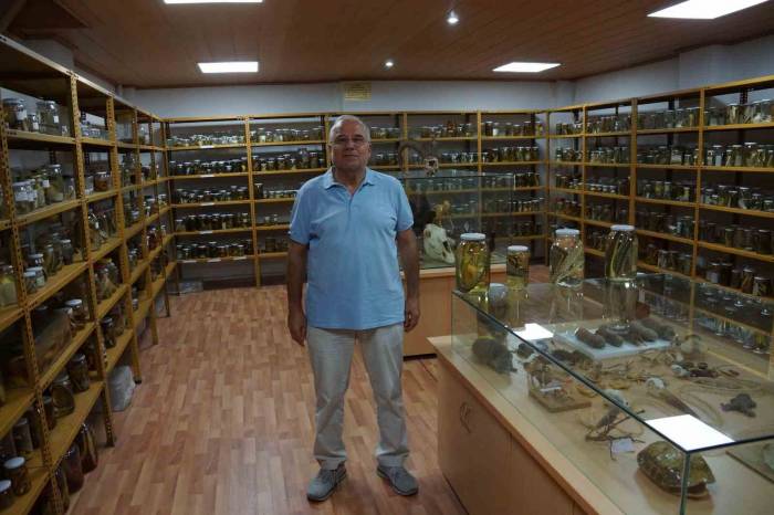 Bu Müze Diğerlerinden Farklı